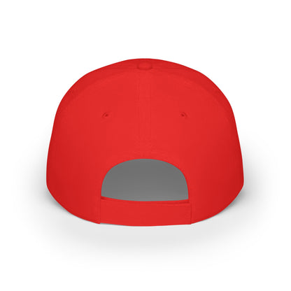 Dark D.O.G.E. Inspired Baseball Cap – Bold Statement Hat, Patriotic Gift, Casual Summer Accessory, Low Profile Unisex Hat.