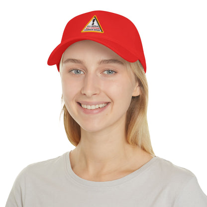 Conservative Baseball Cap, Elon Musk Trump Style, Funny Anti Liberal Hat, Republican Gift, Common Sense Cap, 0% Liberal Hat