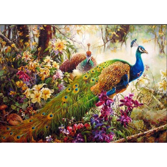 DIY Peacock Painting Kit – Hand-Painted Canvas Art Set for Adults & Beginners, Frameless